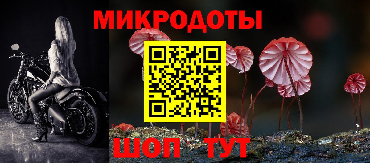 Апшеронск  Псилоцибиновые грибы GOLDEN TEACHER  Псилоцибиновые грибы Psilocybine cubensis  Вход с VPN 